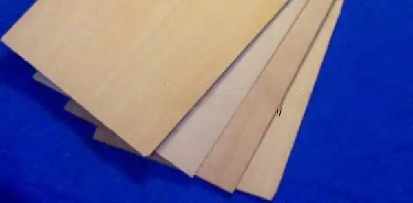 0,6mm Birnbaumfurnier 1000x100x0.6mm